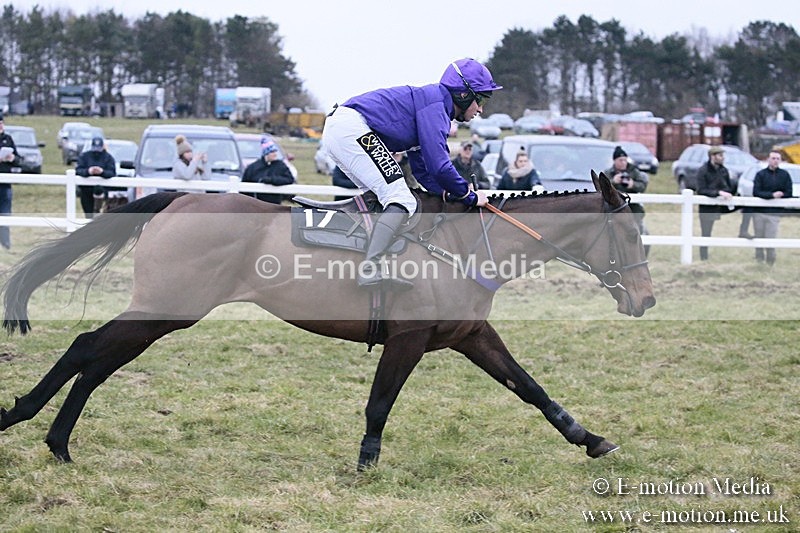 PtP 180218 862 - Combined Services Point-to-Point Larkhill 18/02/18