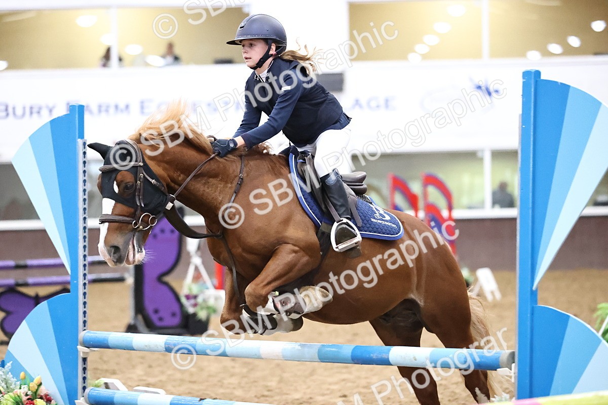 SBM_000382 - Class 2 - Pony British Novice - 80cm Open