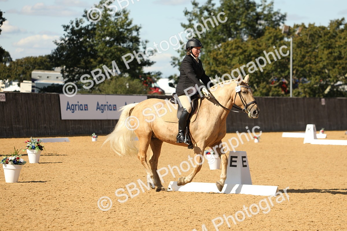 SBM_24568 - D17 - Grand Tour Championship - Novice 27