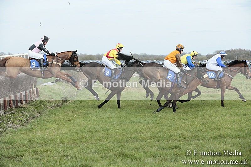 PtP 230319 263 - VWH Hunt Siddington Point-to-Point Racing 23/03/19
