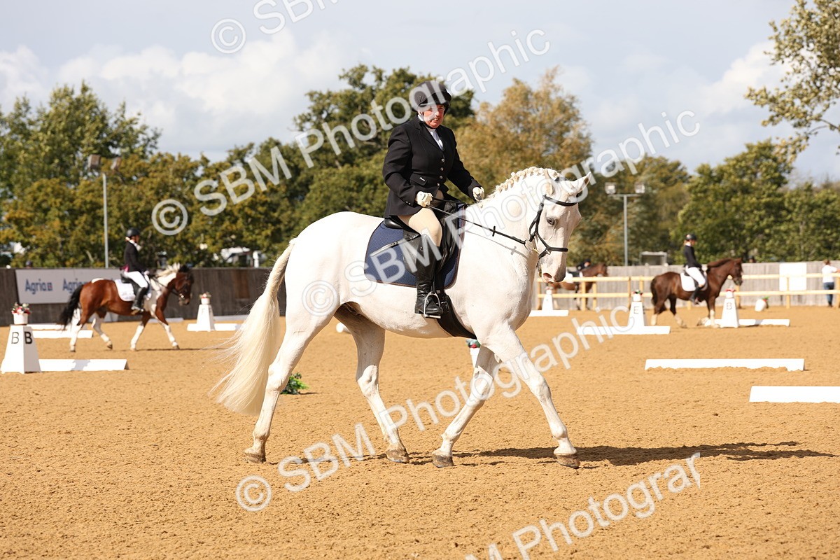 SBM_24522 - D17 - Grand Tour Championship Novice 3