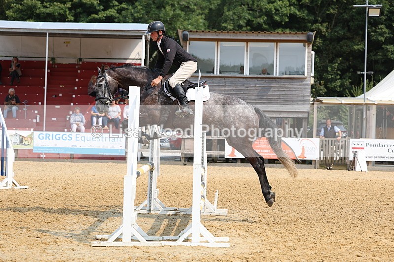 3E7A1216 - Class 4: Senior British Novice/90cm open