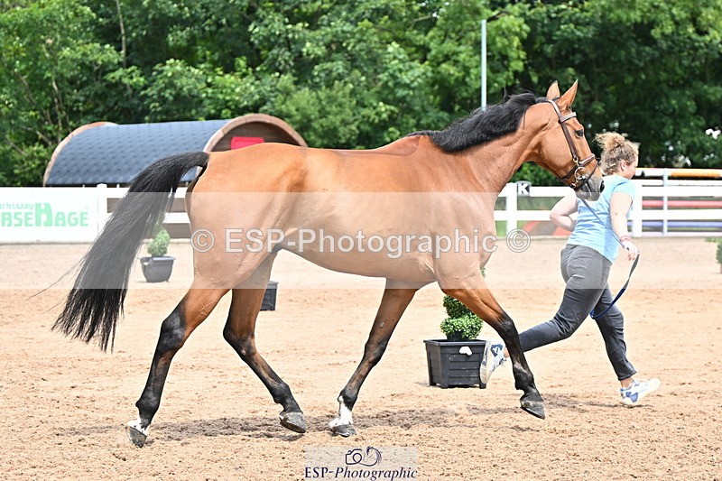 240718A-105309-01638 - Trot Up 1pm to 2pm