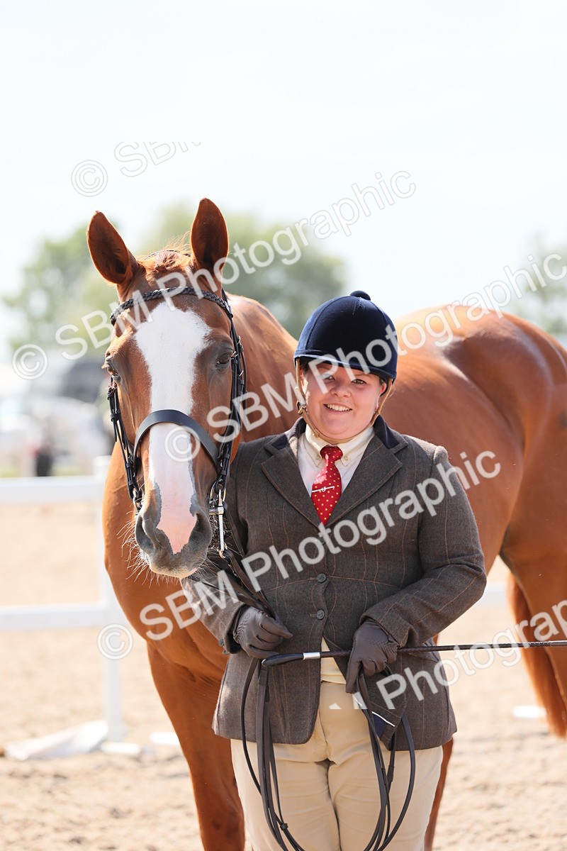 SBM_15788 - Class 312 IH Competition Horse/Pony