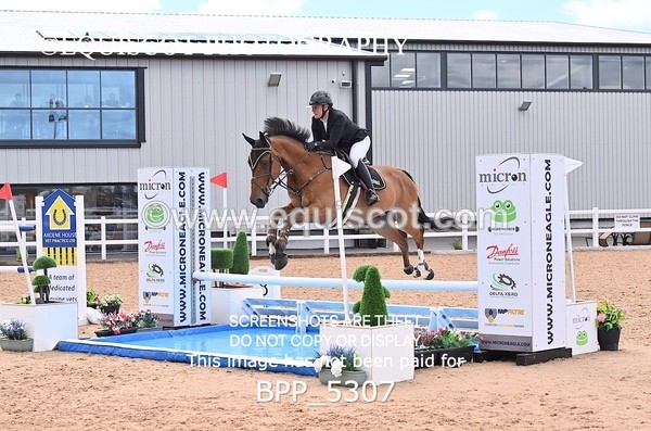 BPP_5307 - CLASS 8 THURS HOYS GFS Saddles Senior Newcomers Second Round