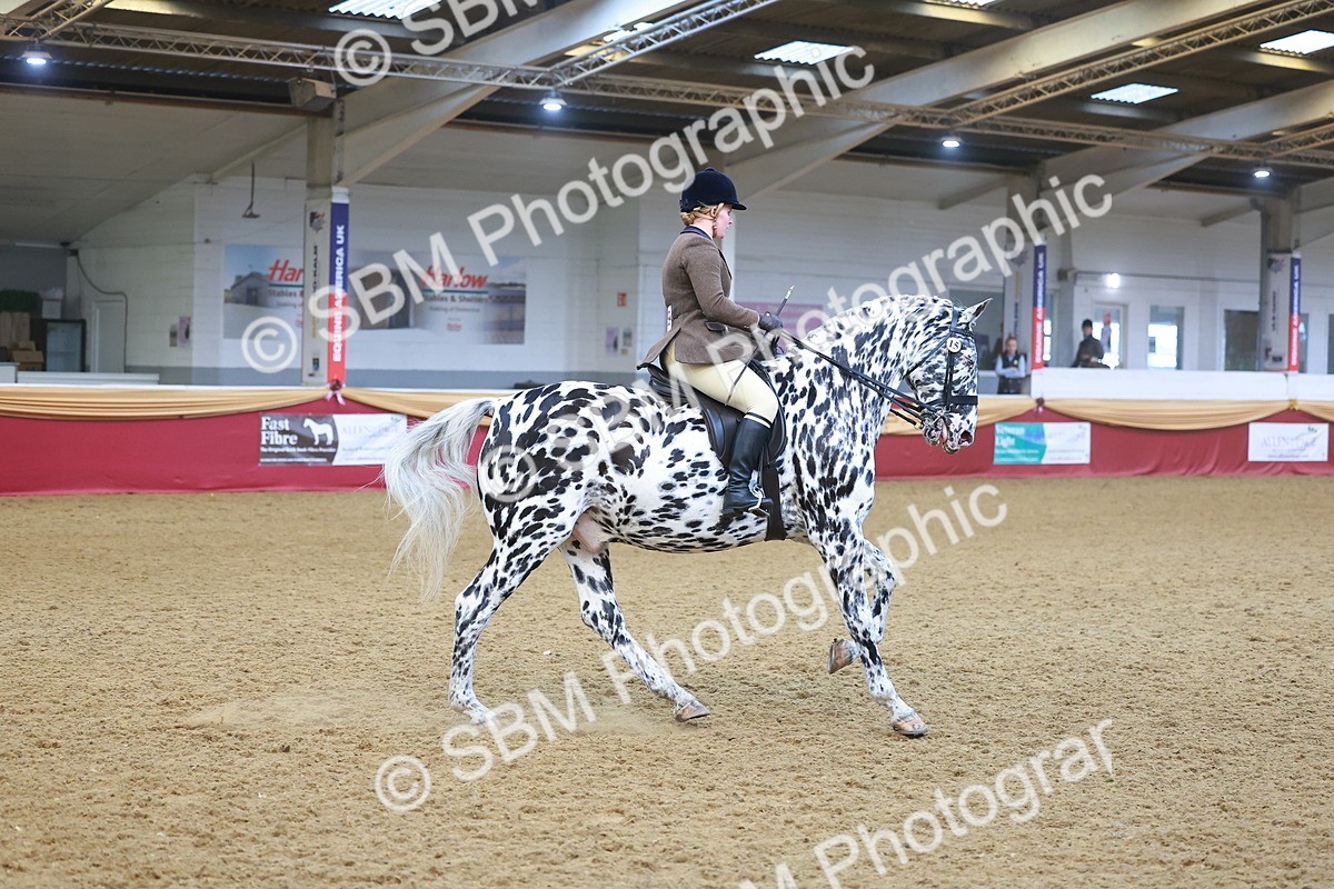 SBM_12506 - Class 103 - HOYS Veteran Qualifier - Ridden Pre Vet