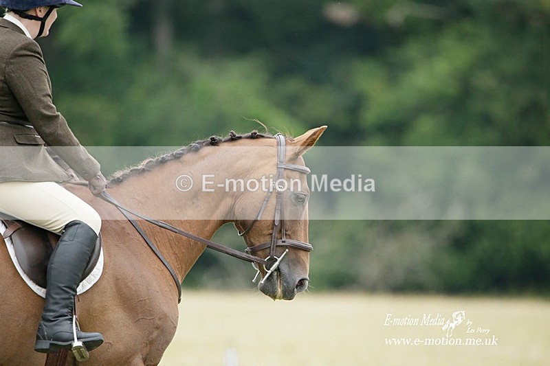 BVRC 030721 283 - Bourne Valley Riding Club Dressage 03/07/21