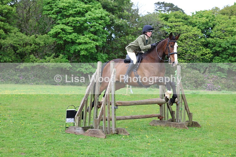 3E7A2481 - Classes 30 and 31: 80cm Working Hunter