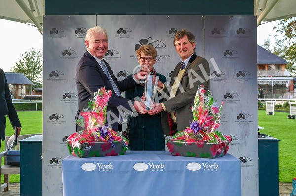 131023-Race 7-Thunder Roar-8458 - Race 7 5.35pm Visit Irish Bloodstock Sales With ITM Apprentice Handicap