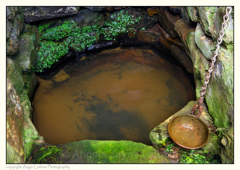 St. Neot's Well Cup 1 - Holy Wells and Sacred Springs