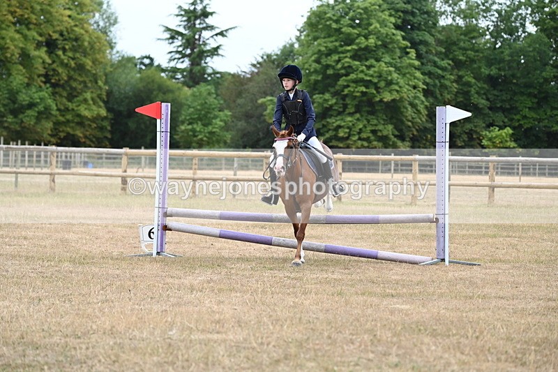 WJ6_0328 - Class 13 Novice Jumping 60cm