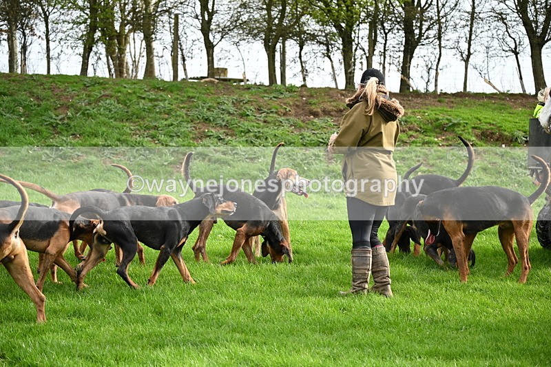 WJ6_9195 - Line Three