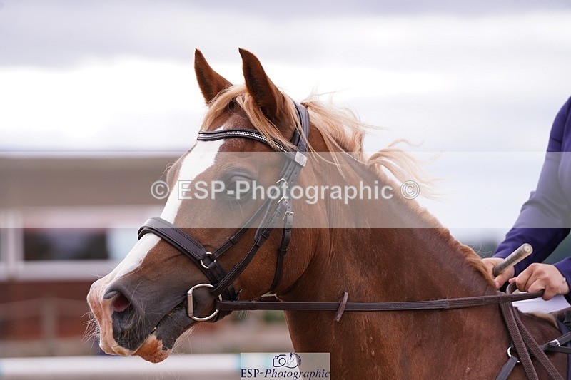 250706-171940-01414 - Cls 07 90cm