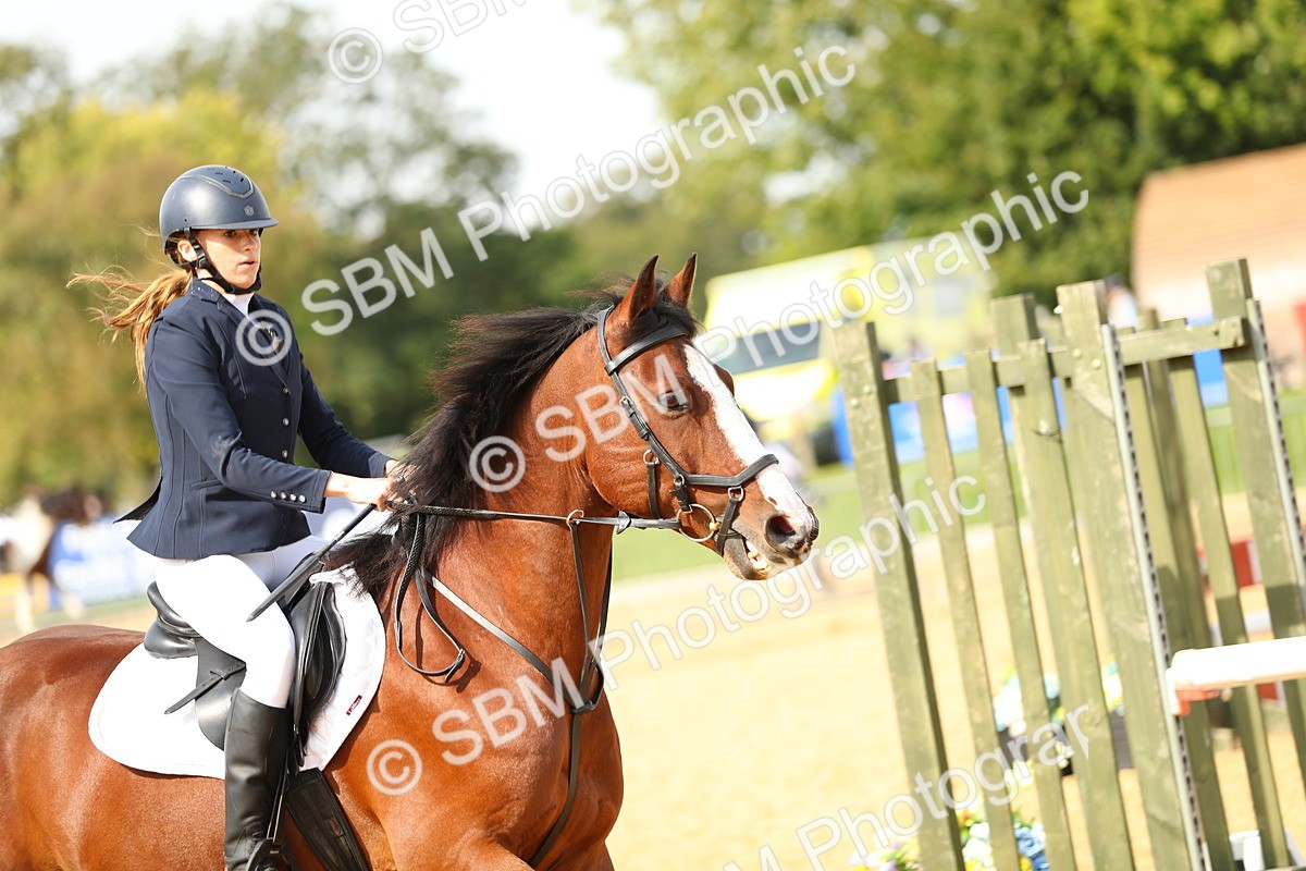 SBM_66188 - J17 - Junior Pony 80cm Championship
