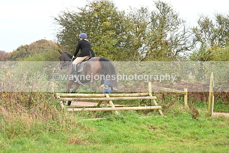WJ7_0305 - Camera 1 & Last fence