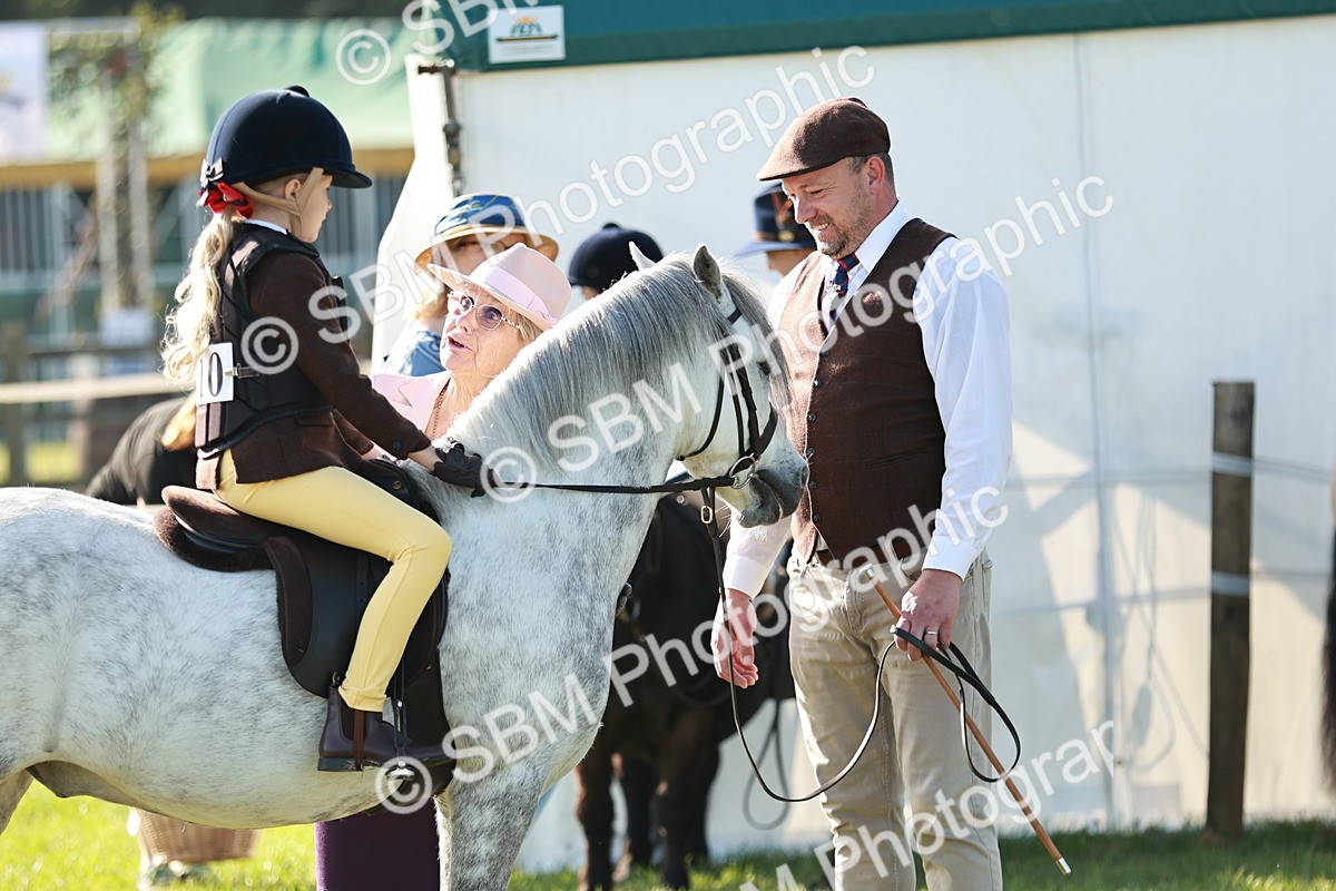 SBM_11126 - Class 106-107 - BSPS LIHS Working Sports Pony