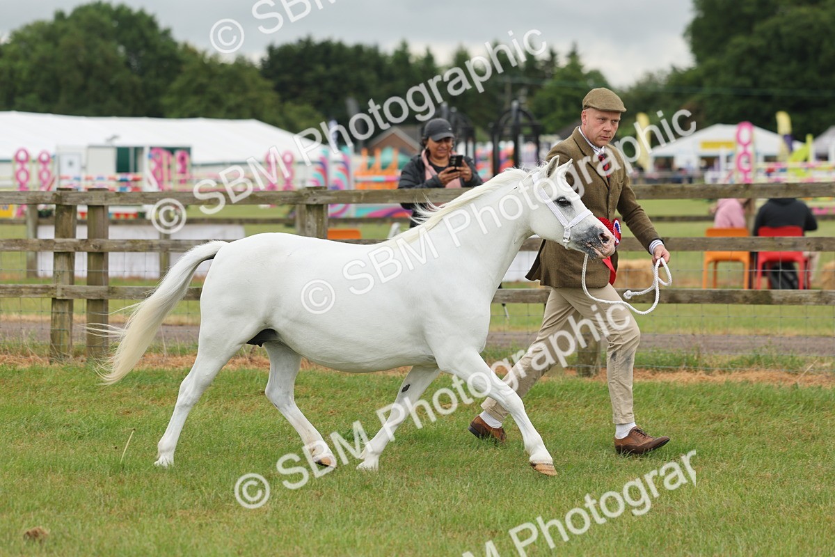 SBM_01697 - Class 50-57 - M&M Welsh Pony In Hand