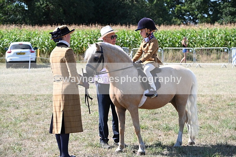 WJ6_8028 - Class 36 Lead Rein