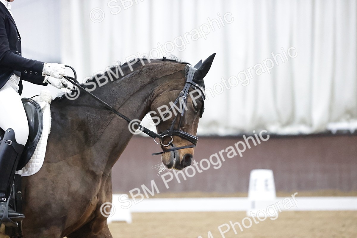 SBM_008065