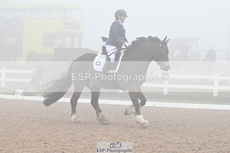 240217A-125705-02720 - 251-Alison.Crimp-Crwys.Beau