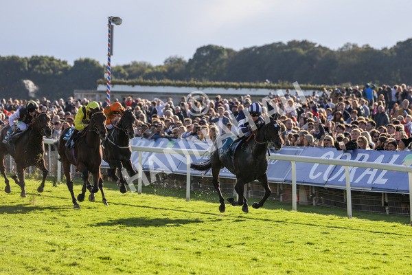 141023-Race 5-Certain Lad-0530 - Race 5 3.35pm Coral Racing Bet Bundles Handicap