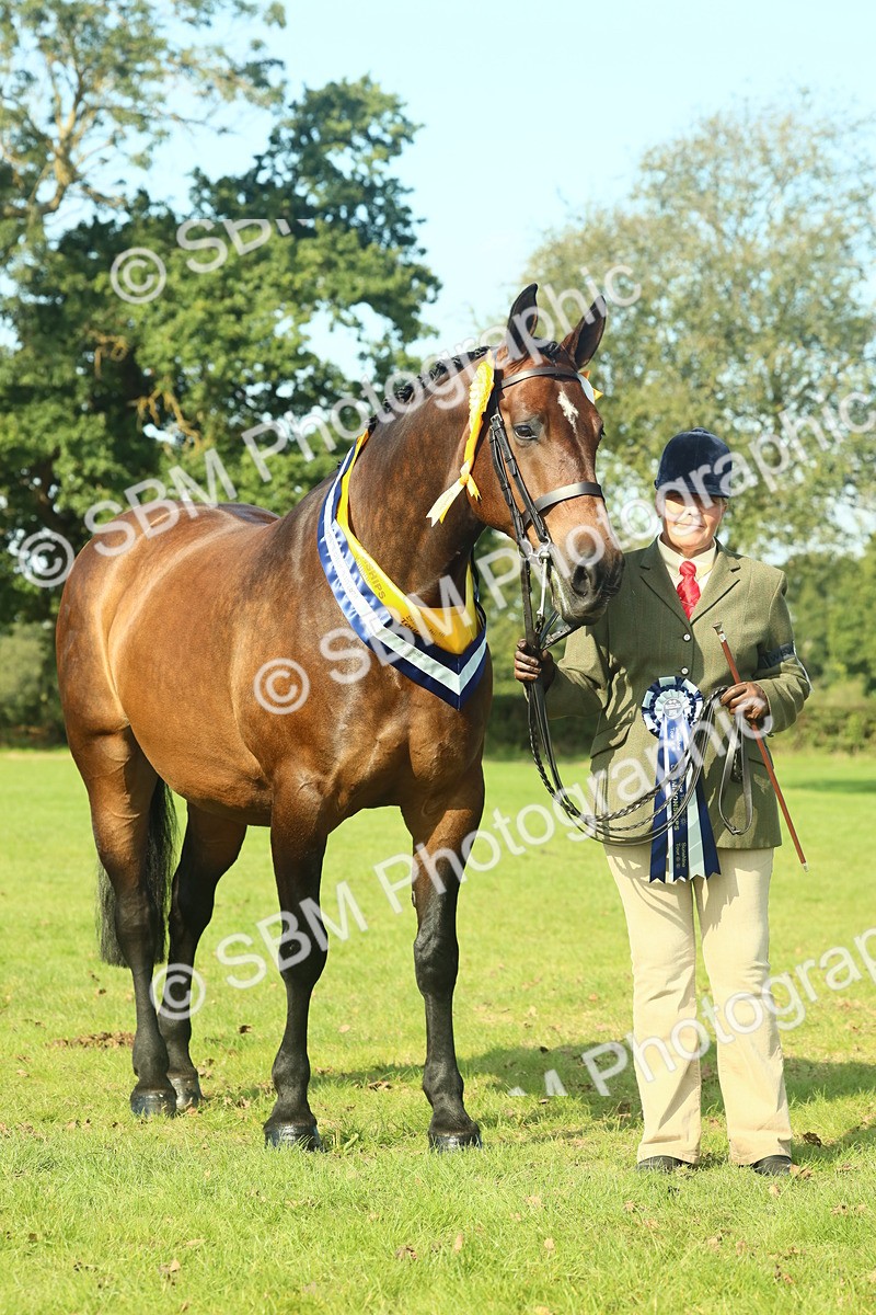 SBM_61167 - Starter Supreme Championship