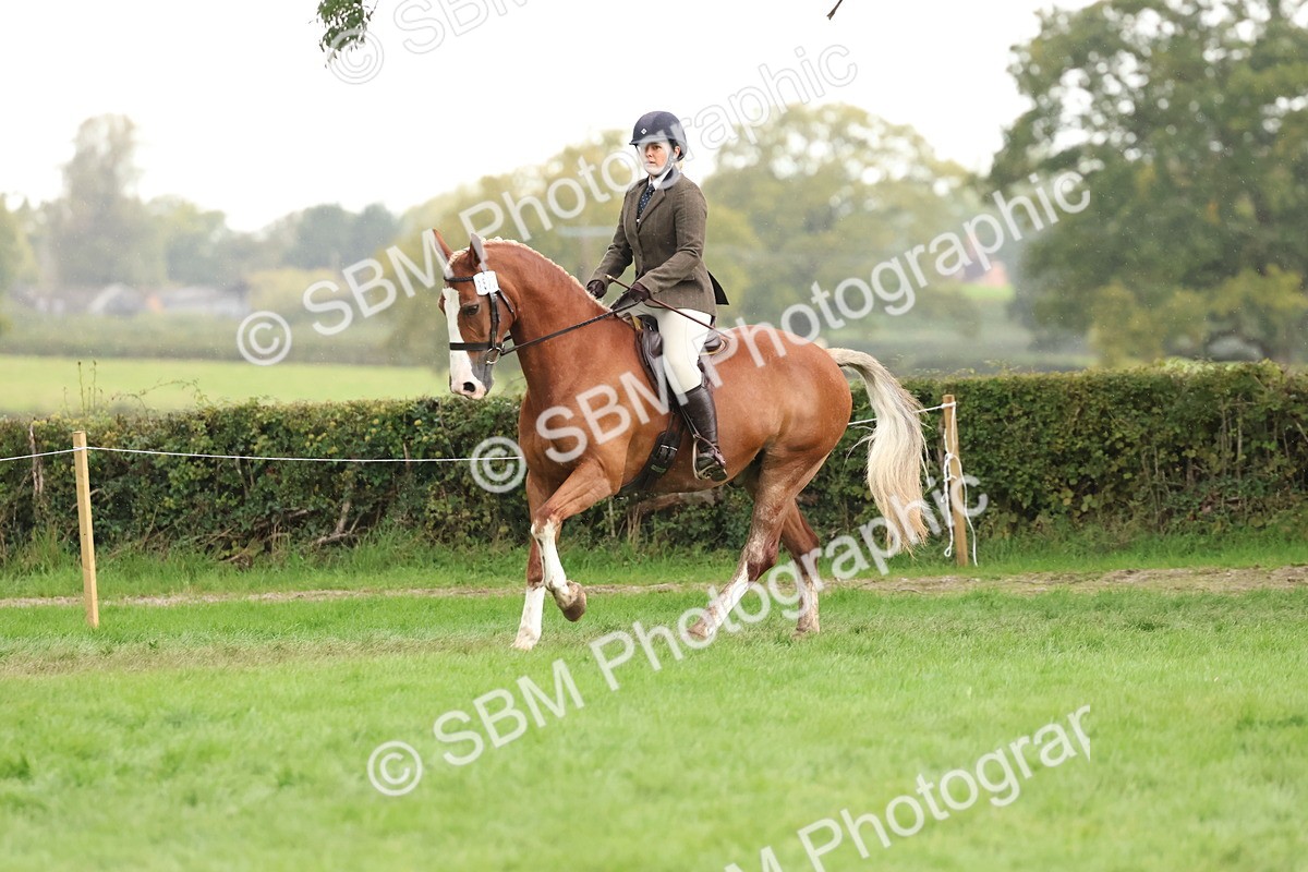 SBM_45024 - S27 - Young Veteran Ridden