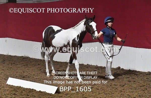 BPP_1605 - MORNING 9AM - 12PM