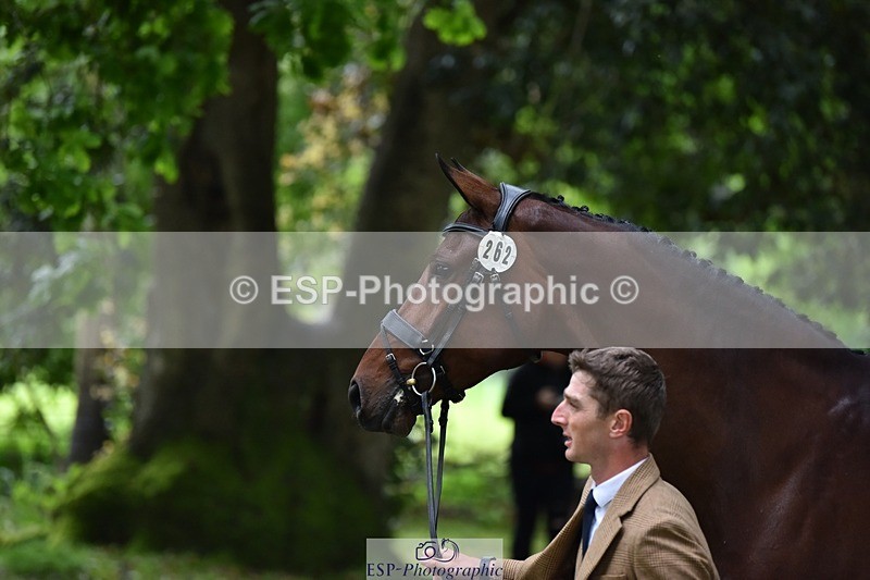 240522-165540-01256 - 262-MY_STAR_TURN-Tom_Jackson