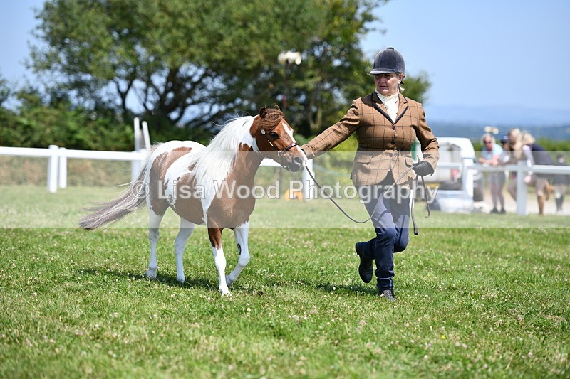 DSC_7701 - Class 64: Coloured Pony 4yrs & over
