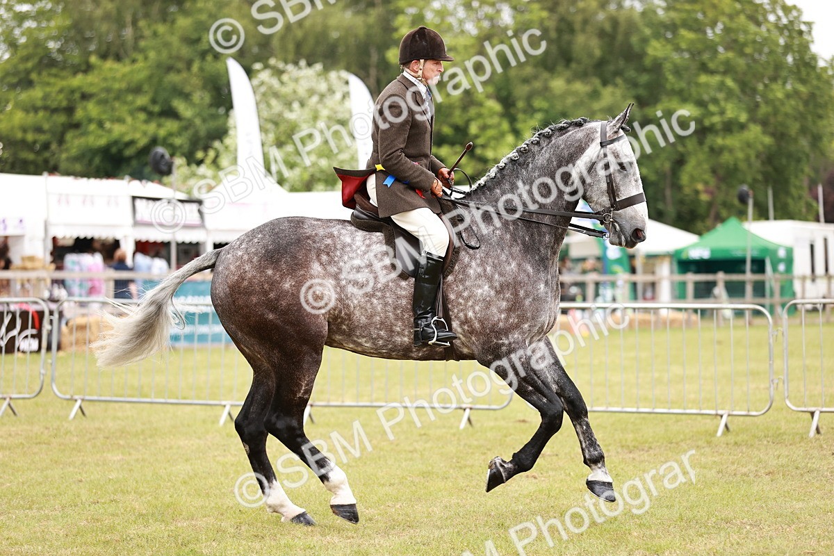 SBM_10953 - Class 81-84 - RIHS Ridden hunters Inc Ladies Hunter