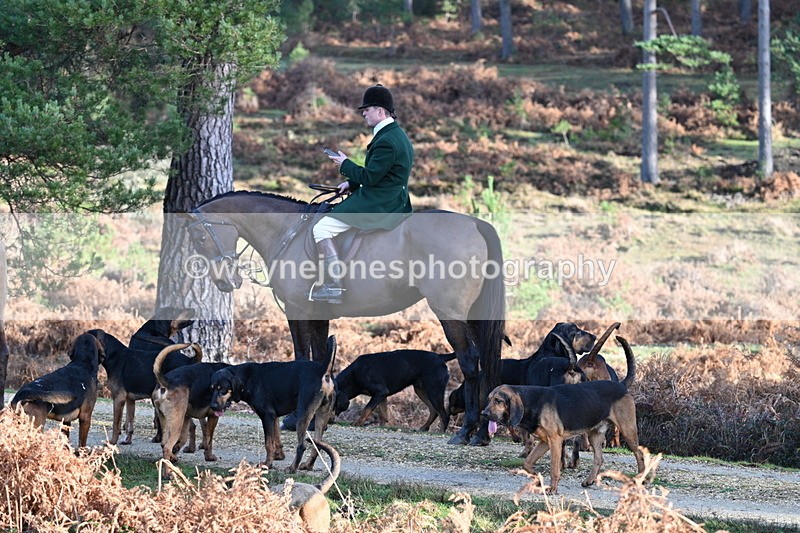 WJ7_7519 - Line 3 (no line 4 or 5)