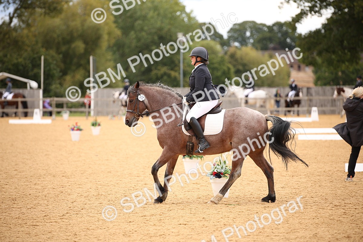 SBM_09097 - D8 Small Tour Championship Prelim 7
