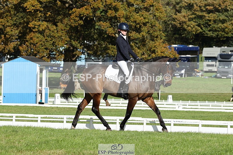 251024A-115900-10087 - D-357-Fenella.Redvers