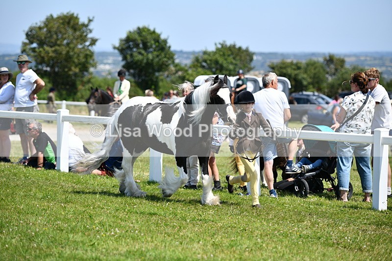 DSC_7584 - Class 64: Coloured Pony 4yrs & over