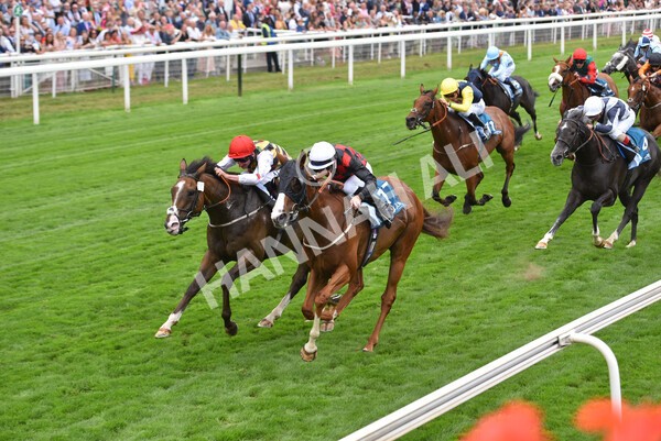 yr18082022r3-38 - Race 3 3.00pm Clipper Logistics Stakes