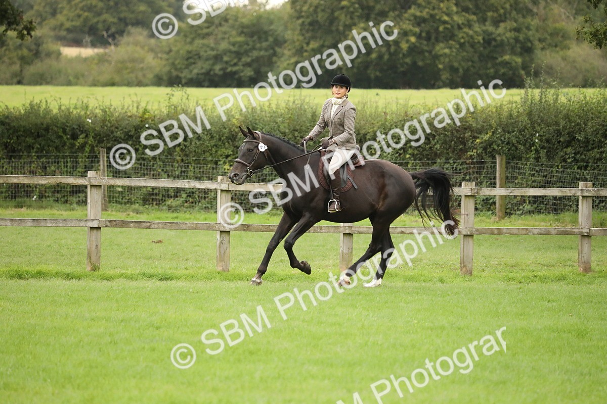 SBM_73805 - S41 - Ridden Equitation (Best Rider)