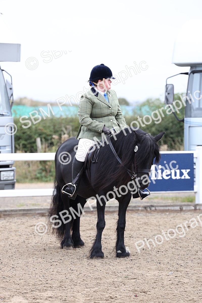 SBM_01414 - Class 51 - Best Turned Out Ridden