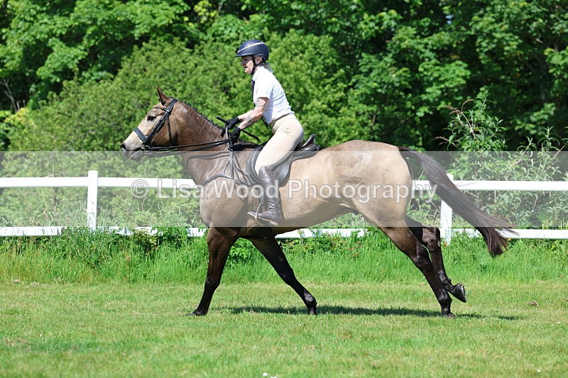 3E7A6949 - Class 30: Novice Working Hunter