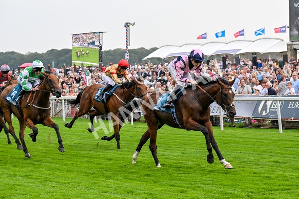 250725-Race 3-Amakhala Warrior-0525 - Race 3 6.38pm Ire-Incentive, It Pays To Buy Irish EBF Restricted Novice Stakes