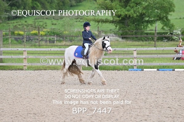 BPP_7447 - CLASS 0 CLEAR ROUND Show Jumping