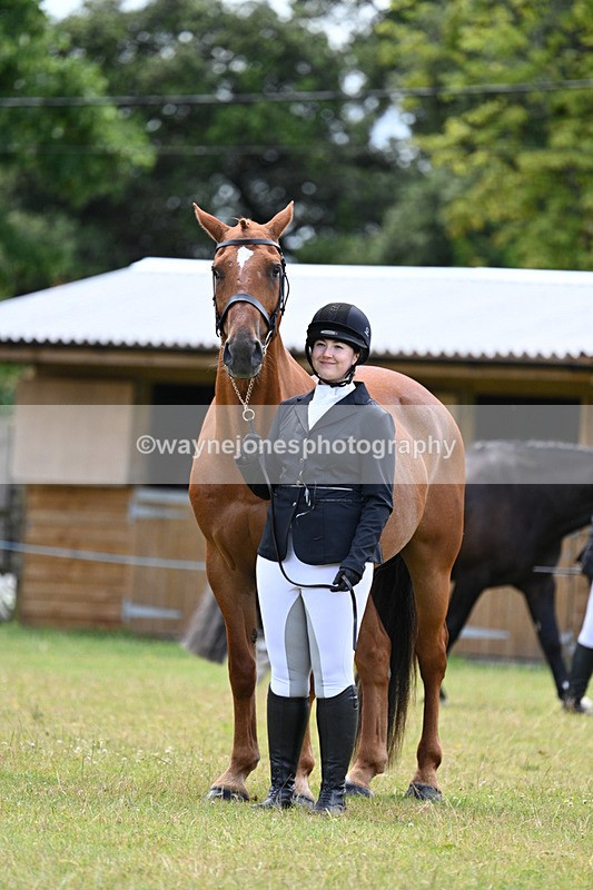 WJ7_7093 - Class 5a Most Handsome Gelding in Hand