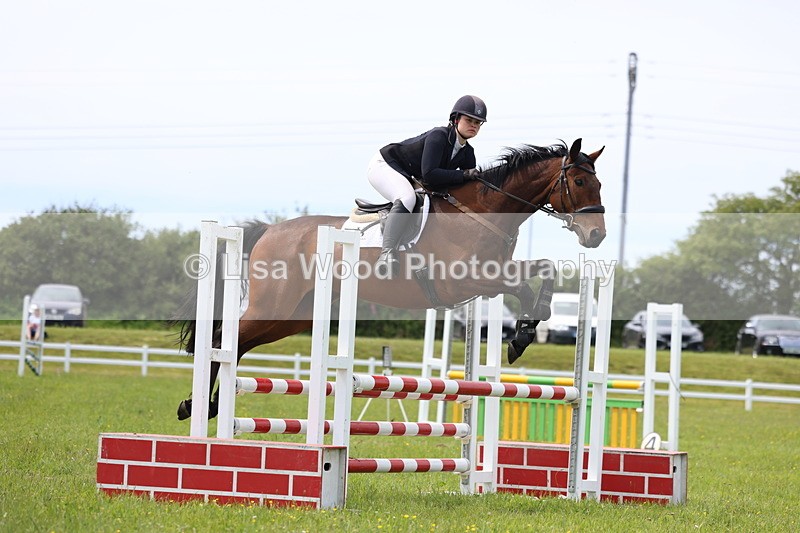 3E7A1588 - Class 13: Senior British Novice/90cm open