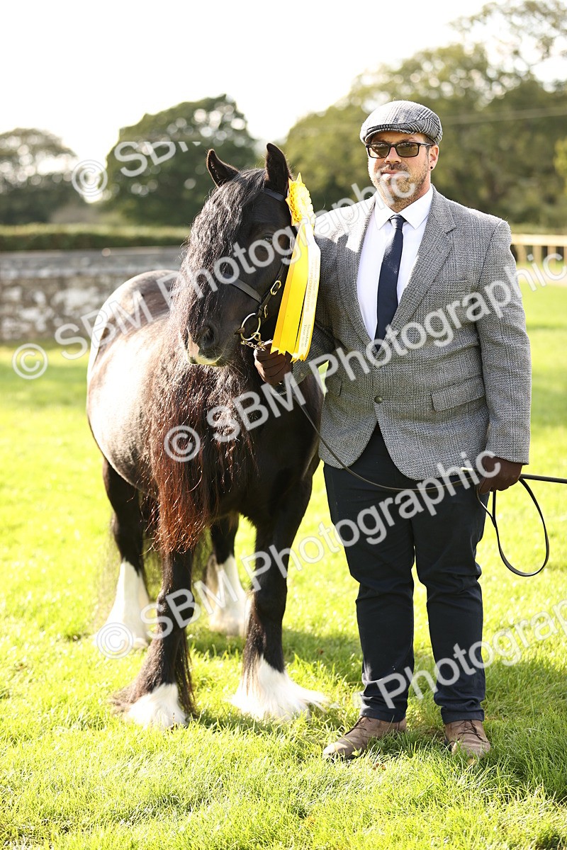 SBM_26295 - S5 - Novice & Newcomers In Hand