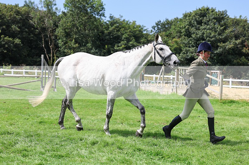 3E7A8805 - Class 5: Working Show Horse