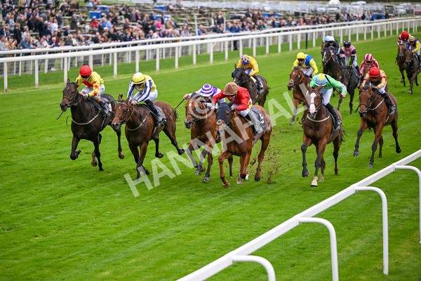 101025-Race 2-Astrazar-6328 - Race 2 British EBF £100,000 Final at York