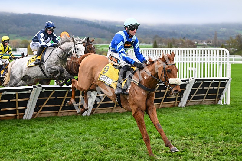 151125-Race 1-One Horse Town-2060 - Race 1