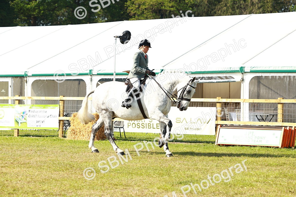 SBM_11763 - Class 66-69 - RIHS Ridden Hunters Inc Small Hunter