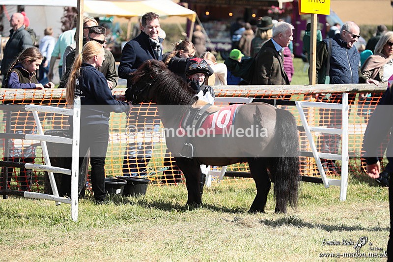 Shet 060426 390 - Shetland Pony Racing Paxford Races Easter Mon 06/04/26