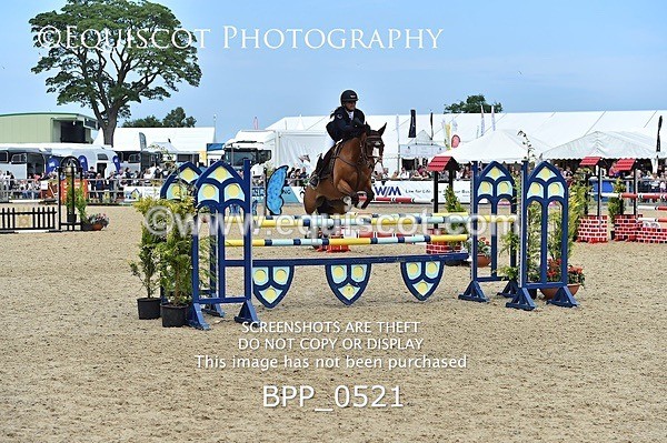 BPP_0521 - RHS 2019 Selection - *Just some random spectator shots so Lucky Dip if you are there!